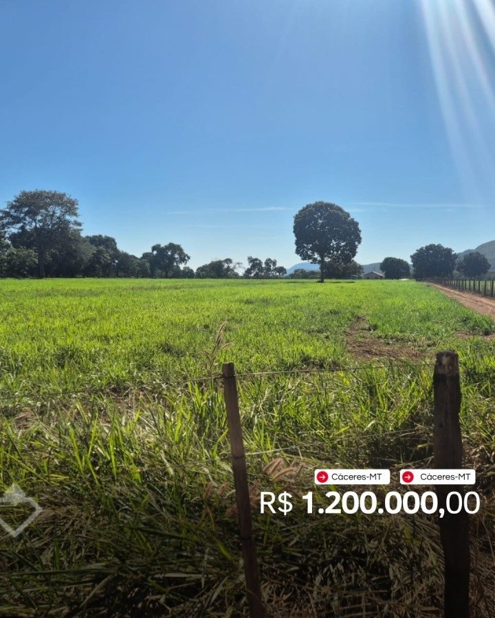 Chácara / Sítio à venda em Cáceres, Cáceres — Sítio · Cáceres